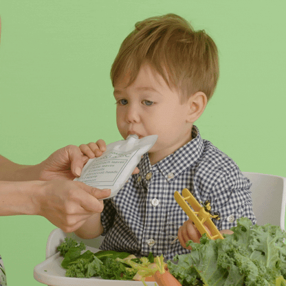 SaladPower Organic Smoothies 6 Pouches